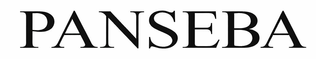 Panseba Projector — Portable Home & Business Display